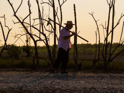 CESARVR / Adobe Stock