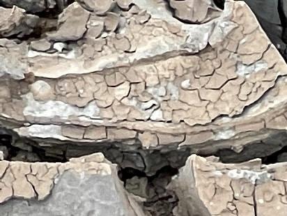 Photo par Radhey Khandelwal sur Unsplash