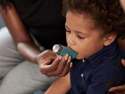 © Dragon Images/Adobe Stock