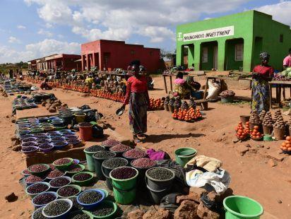 ©Lex Hes & Boundless Southern Africa via Flickr