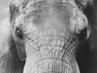 Andre Freitas on Unsplash 