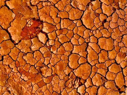 Photo Sachira Kawinda on Unsplash