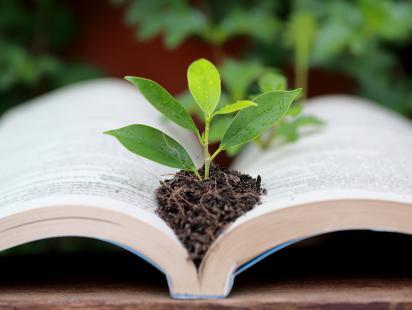 Photo par MRSOMPHOT sur Adobe Stock