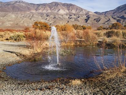 Photo par Tom sur Adobe Stock